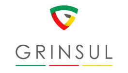 Grinsul